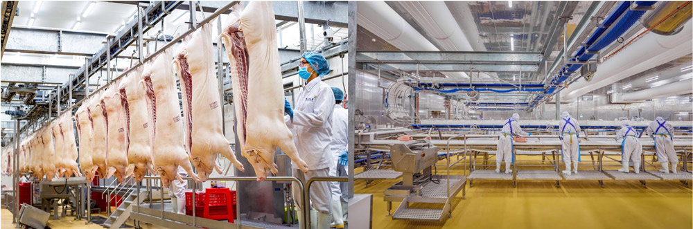 MEATDeli's European-standard chilled meat is produced in a modern factory complex. Photo: H. Van