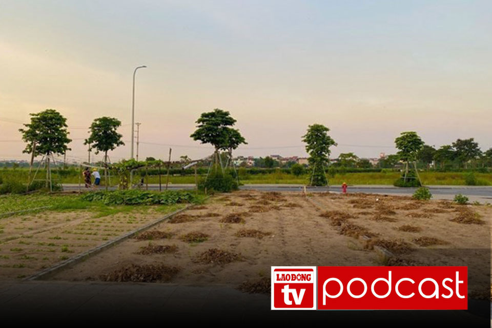 Morning news: Land is gradually regaining its "throne" position