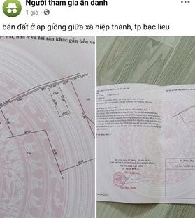 Dat vuon, dien tich lon cung giam gia. Anh: Nhat Ho