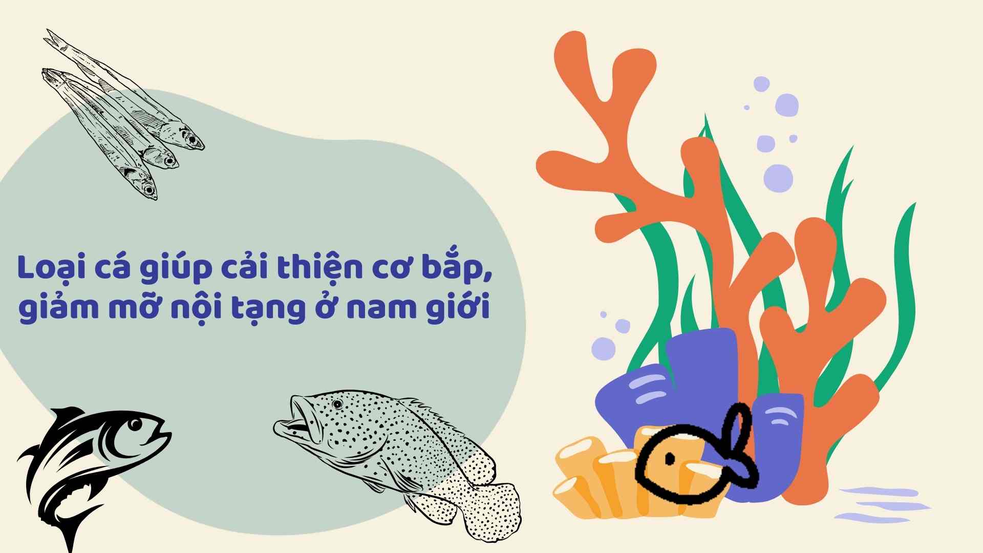 Some types of fish help improve muscle and reduce visceral fat in men. Graphics: Ha May