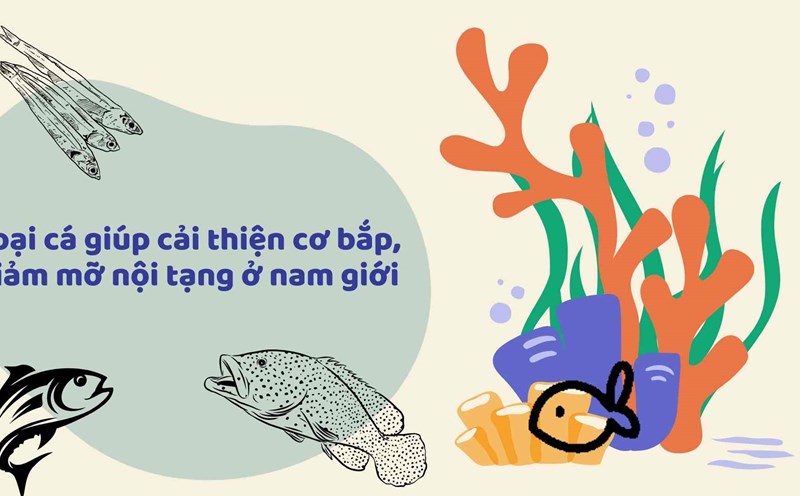 Some types of fish help improve muscle and reduce visceral fat in men. Graphics: Ha May