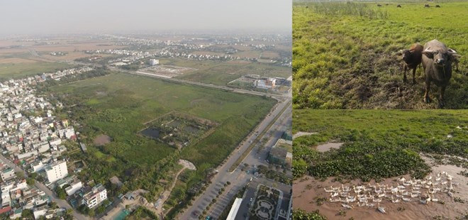 New City Thái Bình sau chục năm vẫn là nơi chăn trâu
