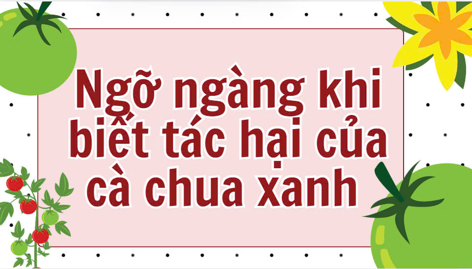 Shocked to know the harmful effects of green tomatoes