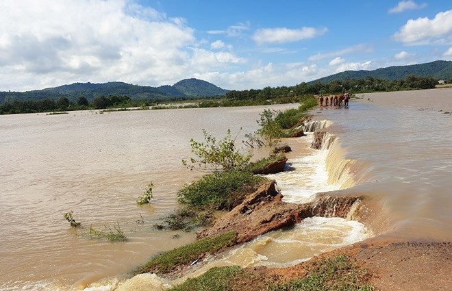 Dak Lak province has many river banks at high risk of landslides. Photo: Xuan Thanh