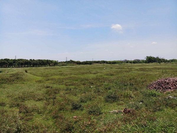 Land investors are looking for opportunities in provinces neighboring Hanoi. Illustration photo: Luc Giang