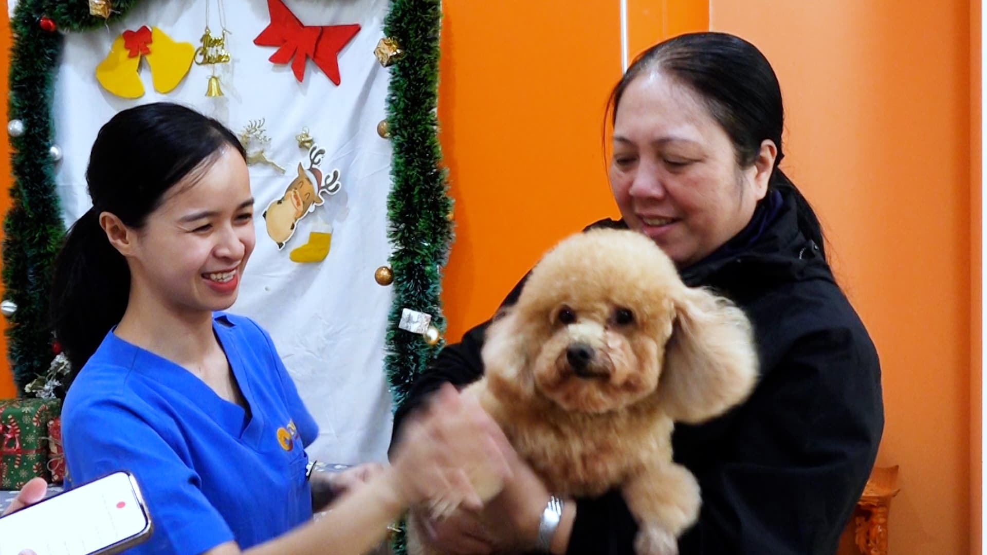 How much is the salary of a new veterinarian graduate?