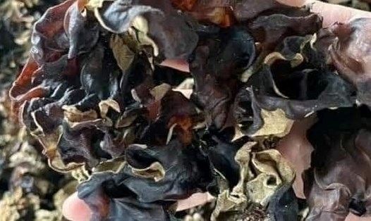 Đây là loại thực phẩm hỗ trợ ngăn ngừa mỡ máu cao và hỗ trợ giảm cân. Ảnh: Kiều Vũ