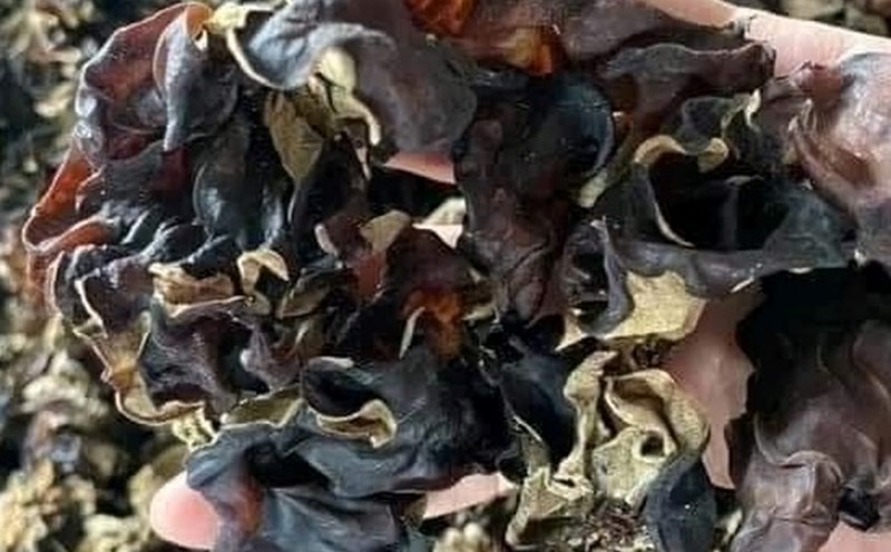 This is a food that helps prevent high blood fat and supports weight loss. Photo: Kieu Vu