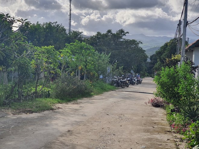 Many solutions in state management have been built to prevent speculation in land auctions in Khanh Hoa. Photo: Binh Quy
