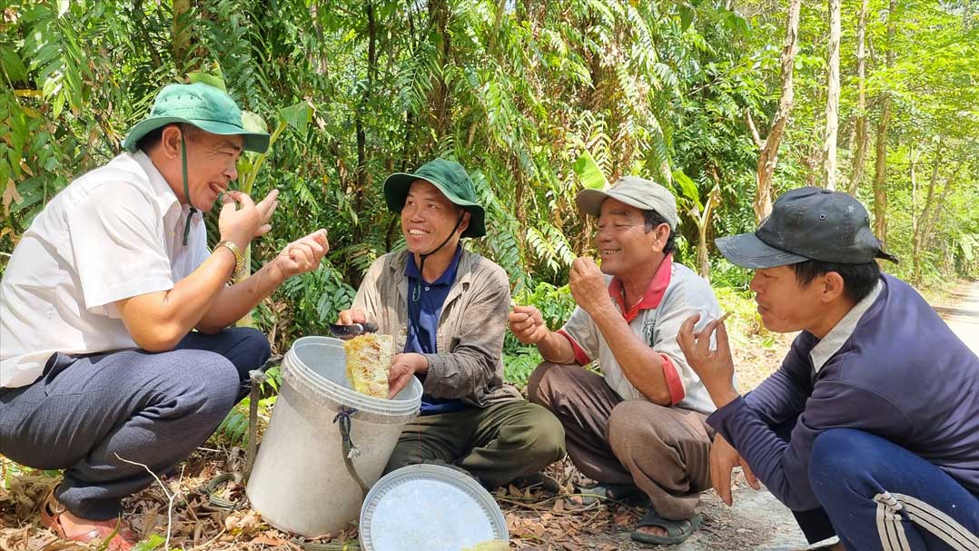 Thuong thuc mat ong vua thu hoach tai Khu bao ton thien nhien Lung Ngoc Hoang (tinh Hau Giang). Anh: Van Sy