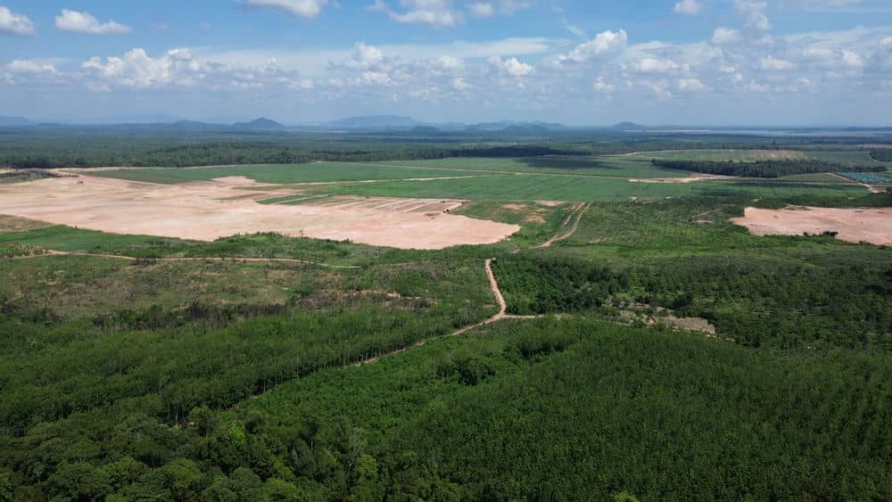 The soil quality of the dipterocarp forest in the border area is not suitable for developing a project to plant thousands of hectares of rubber. Photo: Thanh Tuan