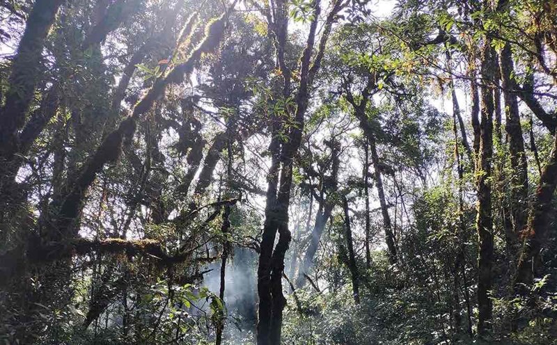 Mu Cang Chai Species and Habitat Conservation Area, Yen Bai Province. Photo: Tran Bui