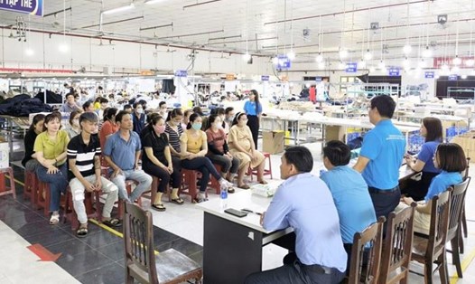 Nợ BHXH tăng cao ảnh hưởng đến quyền lợi của hàng nghìn lao động ở Quảng Nam. Ảnh: Đơn vị cung cấp