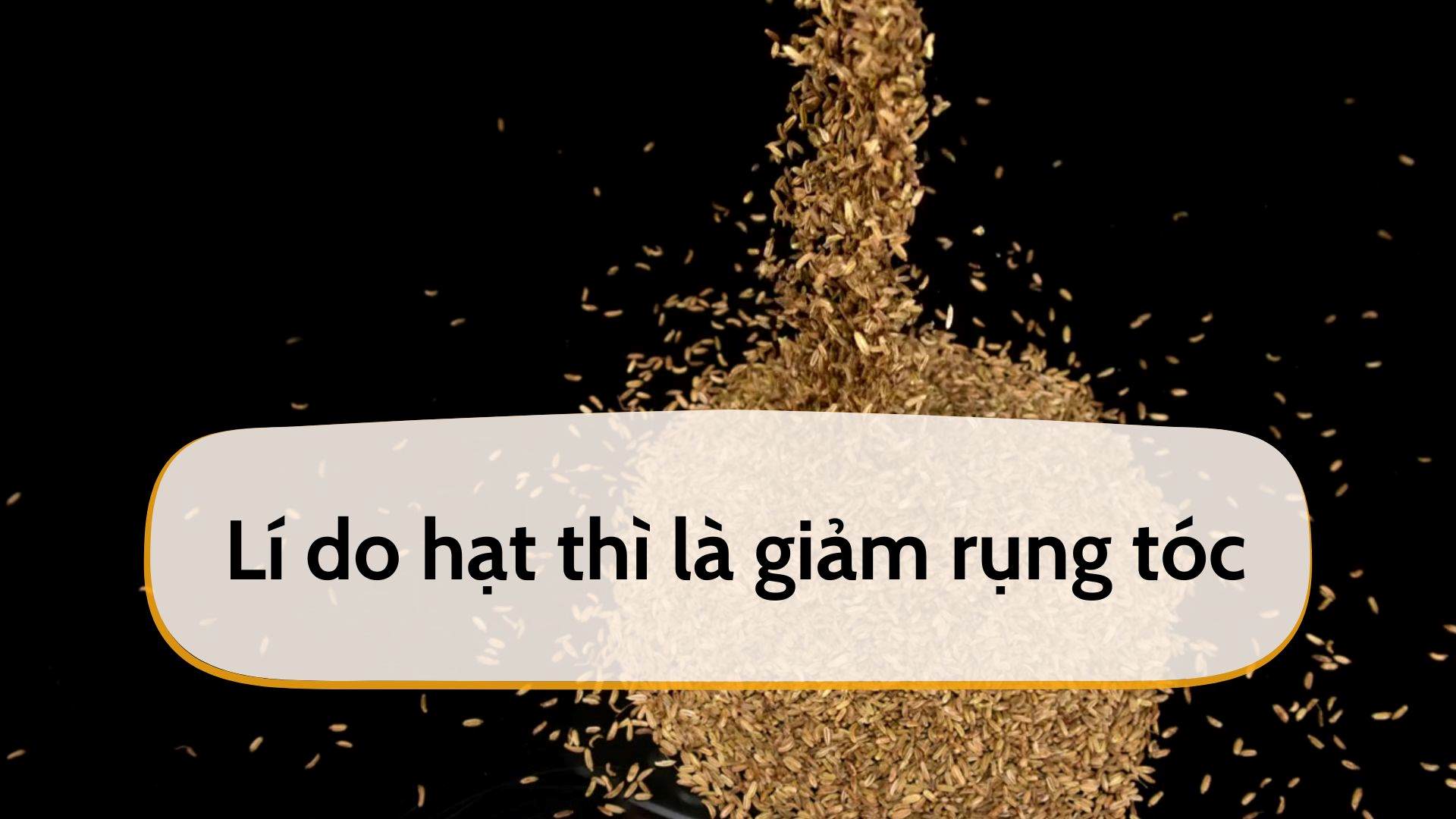 Fennel seeds help reduce hair loss. Graphics: Thanh Chan