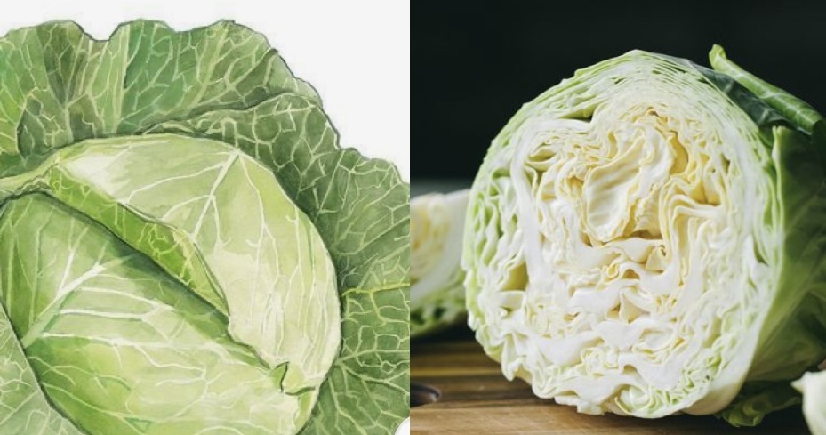 Winter vegetables help control uric acid. Graphics: Huong Giang