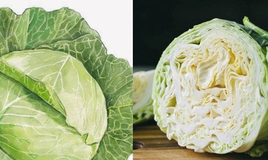 Loại rau mùa đông giúp kiểm soát axit uric. Đồ hoạ: Hương Giang