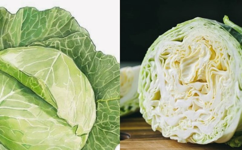 Winter vegetables help control uric acid. Graphics: Huong Giang