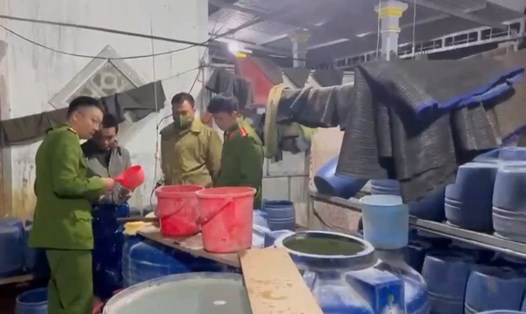 Lực lượng công an phát hiện cơ sở kinh doanh dùng chất kích thích để sản xuất giá đỗ bán ra thị trường. Ảnh: Công an cung cấp.