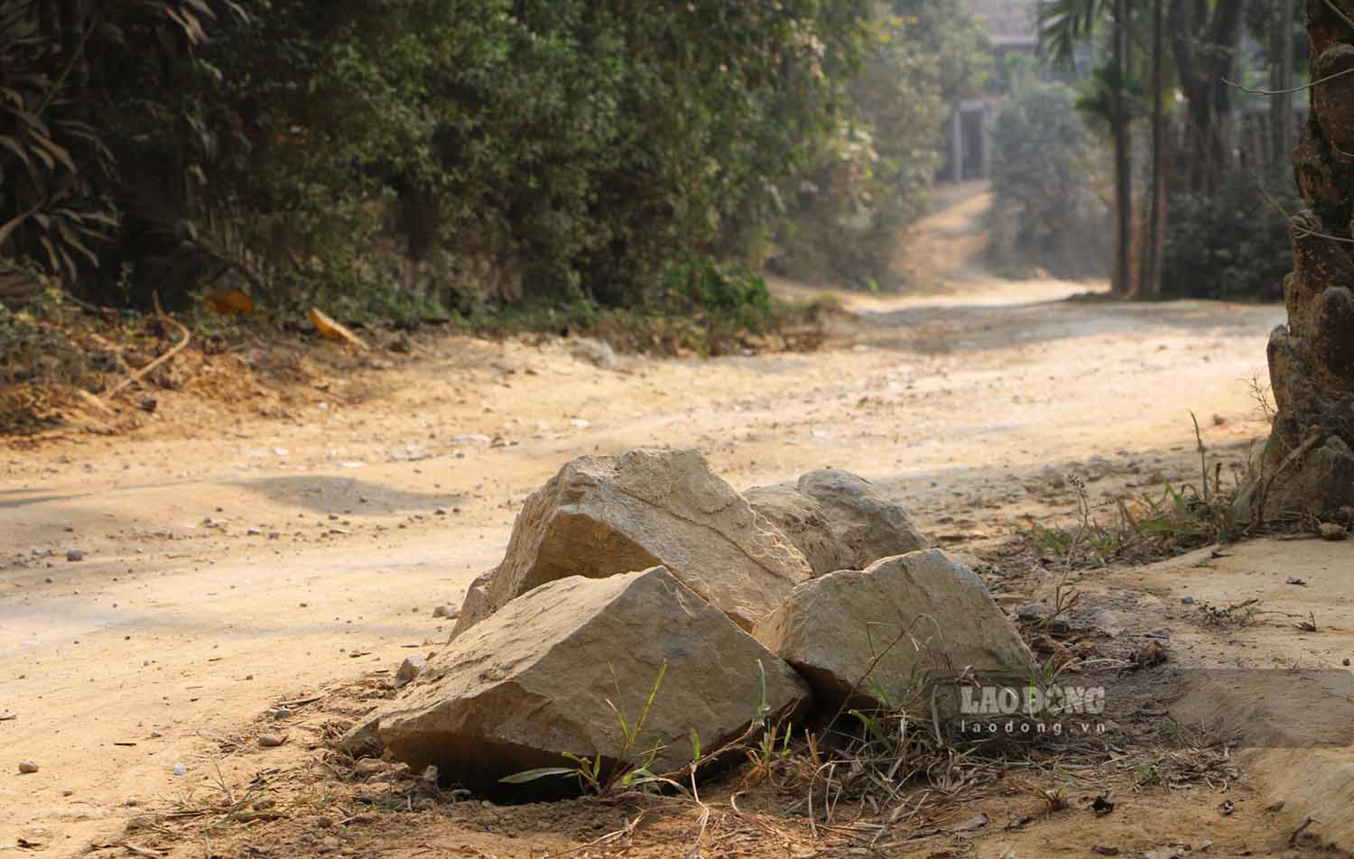 Nhieu gia dinh buoc phai de cac chuong ngai vat nhu gach da truoc cua nha de ngan khong cho xe tai di vao pha hong san, ngo.