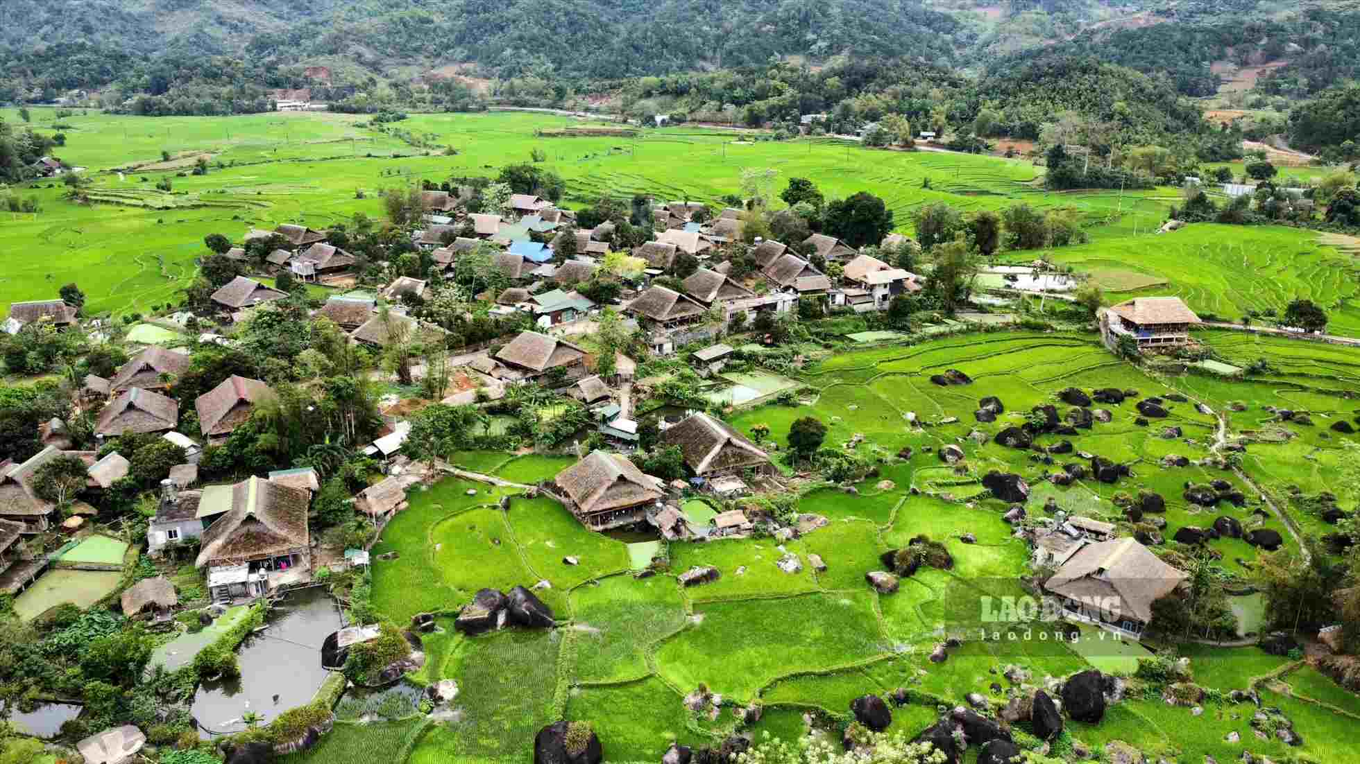 Thôn Hạ Thành xanh mướt vào mùa lúa. Ảnh: Phùng Minh