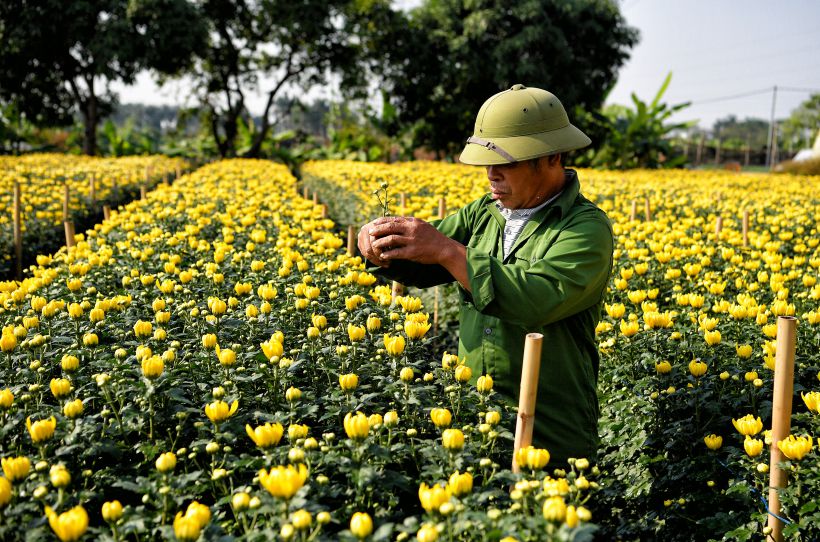Take care of each flower to welcome spring.