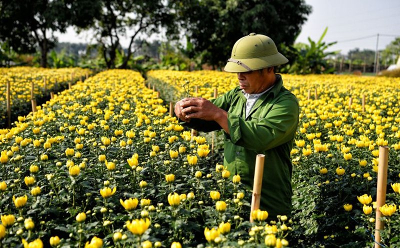 Take care of each flower to welcome spring.