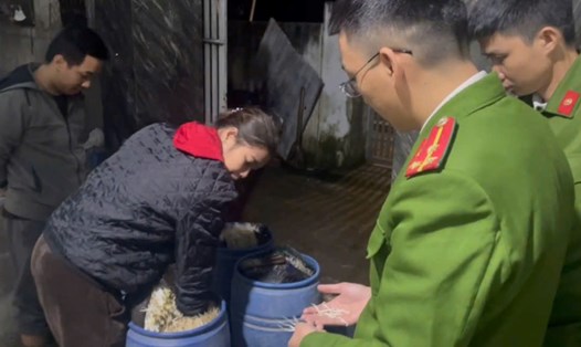 Chủ cơ sở trồng giá đỗ bằng hóa chất độc hại ở Huế chỉ bị đề nghị xử phạt hành chính, không bị khởi tố. Ảnh: Công an cung cấp