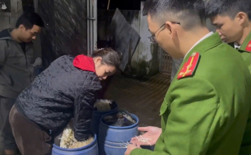 The owner of a facility growing bean sprouts with toxic chemicals in Hue was only recommended for administrative punishment, not prosecution. Photo: Provided by the police