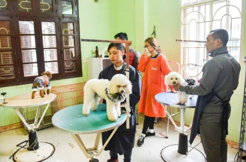 Pet care stores will be very crowded during the Tet holiday. Photo: Long Nguyen