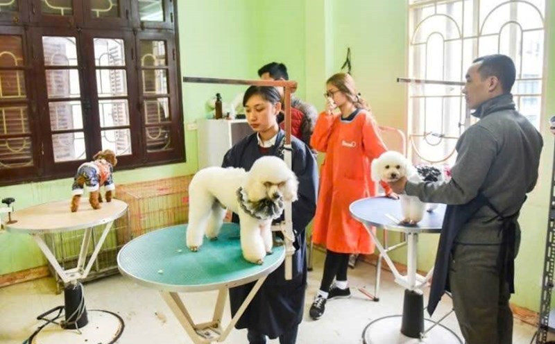 Pet care stores will be very crowded during the Tet holiday. Photo: Long Nguyen