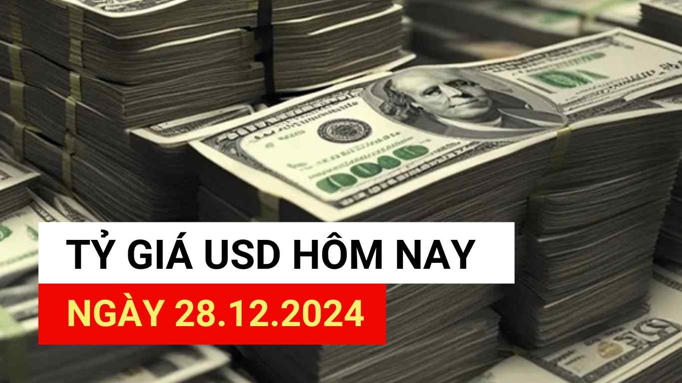 USD exchange rate today 12/28/2024.