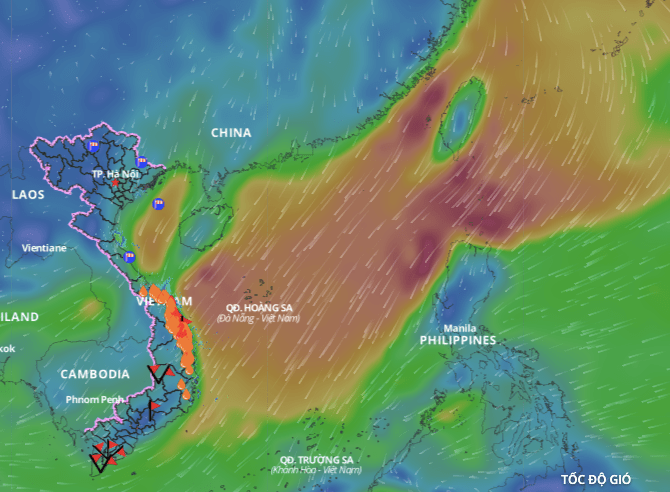 Cold air causes bad weather in the Gulf of Tonkin. Above is the image of the wind direction layer over the sea updated at 10:00 on December 28. Photo: Vietnam Natural Disaster Monitoring System