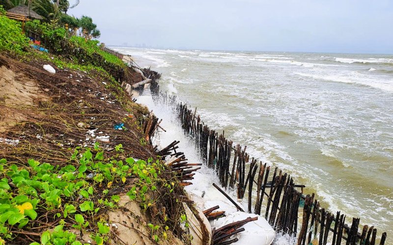 Tinh trang sat lo tai bo bien Cam An, Hoi An ngay cang lan rong nghiem trong. Anh: Phi Hung