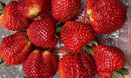 Bằng cách bổ sung những loại quả này vào chế độ ăn hàng ngày, bạn không chỉ cải thiện sức khỏe tổng thể mà còn có thể kéo dài tuổi thọ. Ảnh: Kiều Vũ.