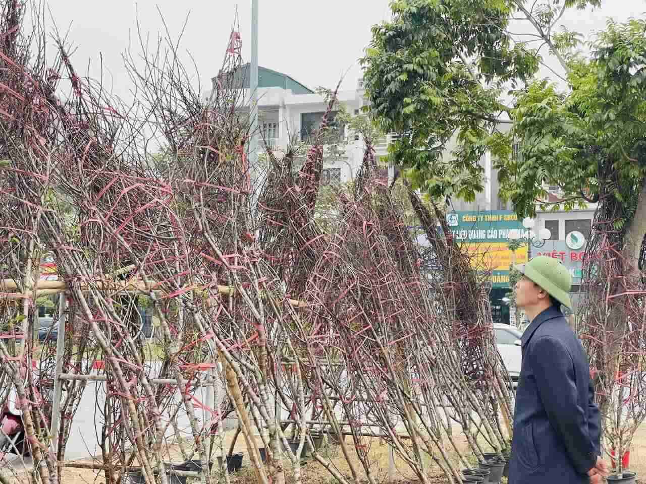 Du moi nhap chuyen dao dau tien nhung ong Tuan Anh da ban bot duoc rat nhieu dao. Anh: Mai Huong