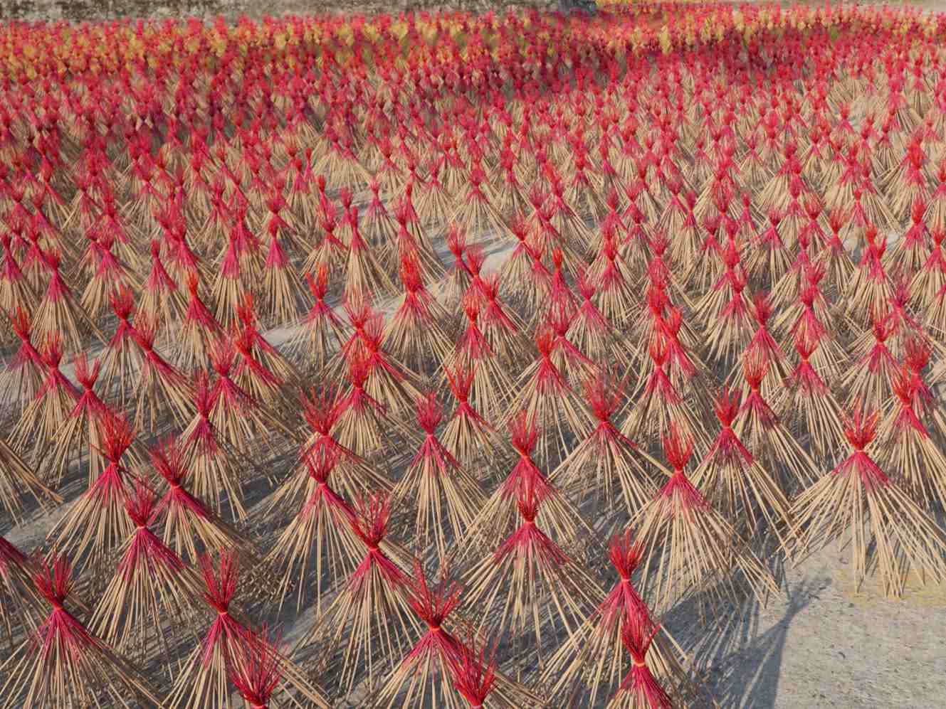 The incense-making village of Quoc Tuan commune (Nam Sach, Hai Duong) is busy producing to serve the Lunar New Year. Photo: Cong Hoa