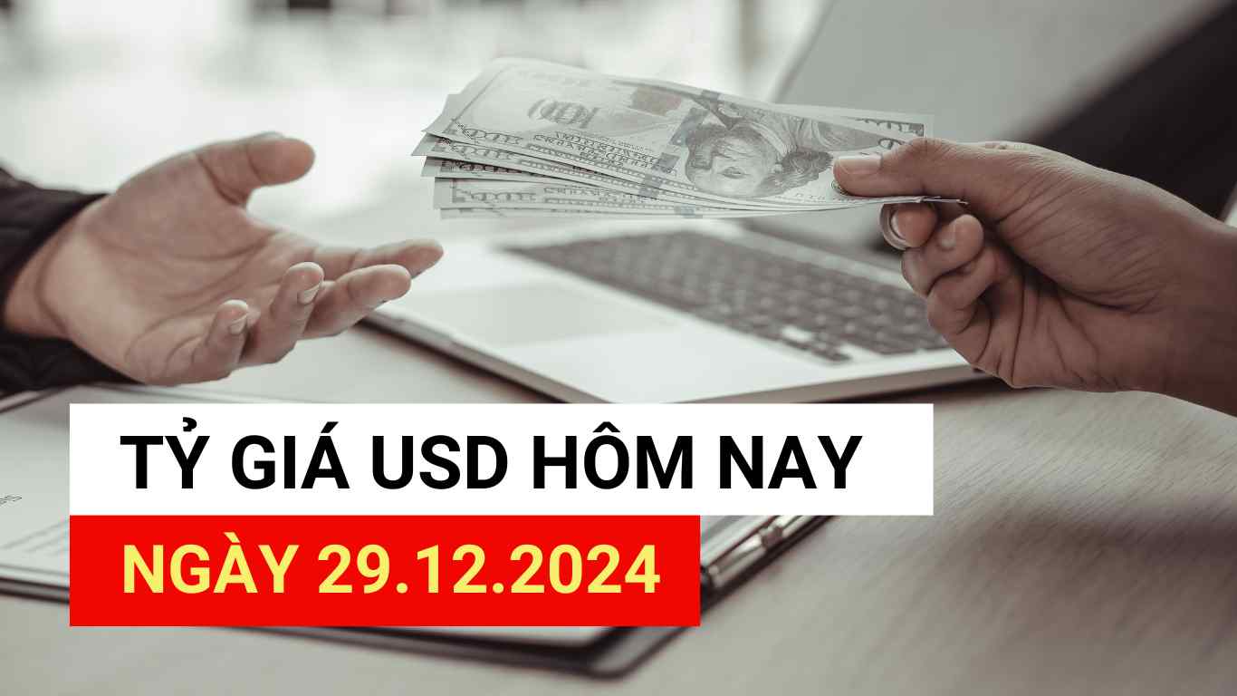 USD exchange rate today 12/29/2024.
