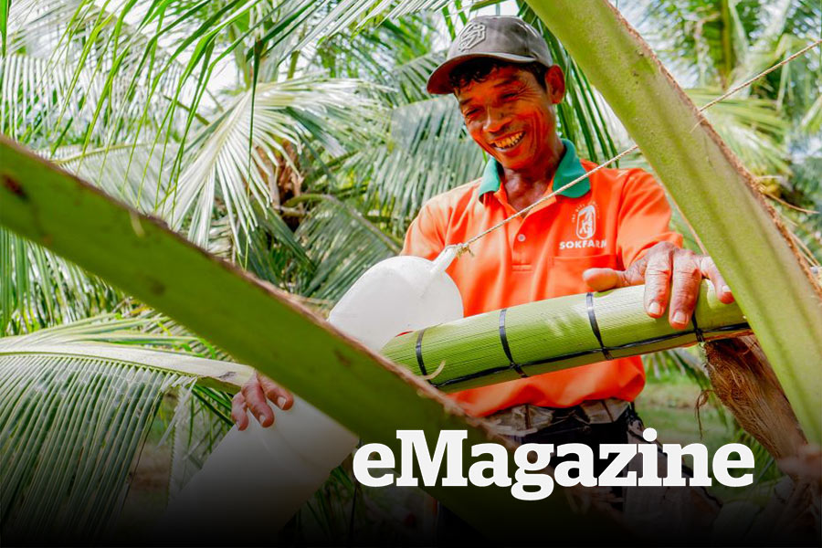 Trồng dừa không lấy trái và chuyện nông nghiệp hạnh phúc ở vùng hạn mặn
