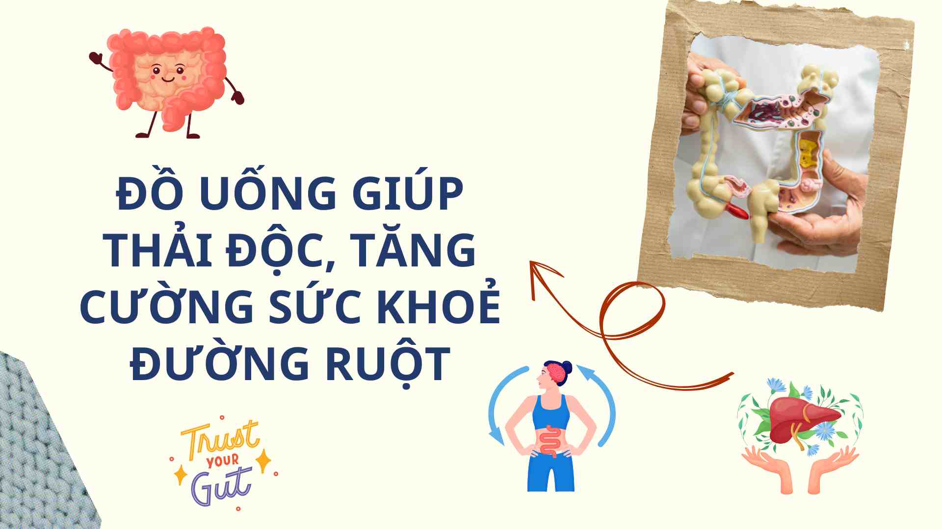 Drinks help detoxify and improve intestinal health. Graphics: Cao Thom