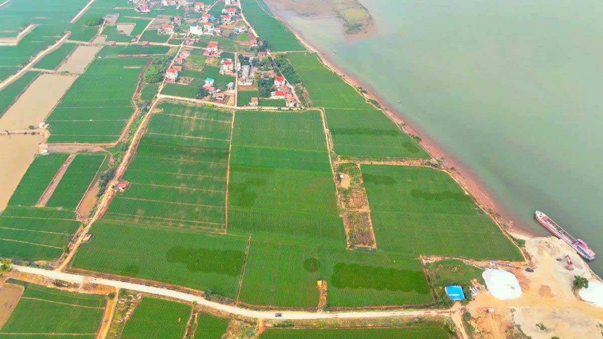 Toàn cảnh khu đất làm dự án Cảng hàng hóa tại xã Cao Đức (Bắc Ninh). Ảnh: Văn Giang