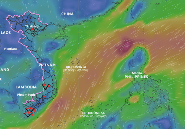 Cold air causes bad weather in the North East Sea. Above is the image of the wind direction layer over the sea updated at 4:00 p.m. on December 29. Photo: Vietnam Natural Disaster Monitoring System