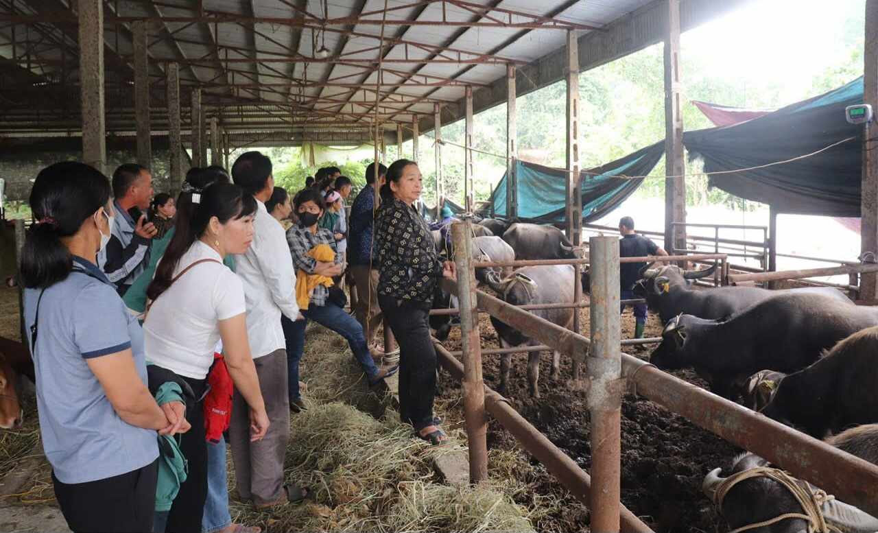 Synchronously implementing poverty reduction policies. Photo: Minh Thuy