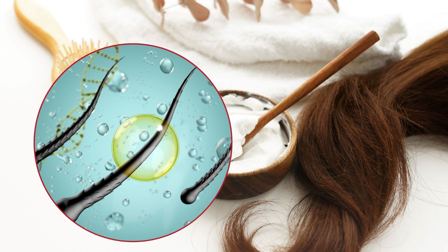 Signs of hair regrowth include the growth of fine, short hair. Graphics: Thanh Thanh