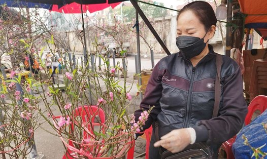 Tiểu thương cho biết năm nay nhiều người dân đi mua hoa đào trước vì sợ khan hiếm và sát Tết sẽ không còn cây đẹp. Ảnh: Minh Vũ