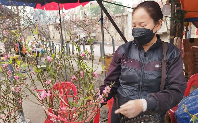 Traders said that this year many people bought peach blossoms in advance because they were afraid of shortages and that there would be no more beautiful trees near Tet. Photo: Minh Vu