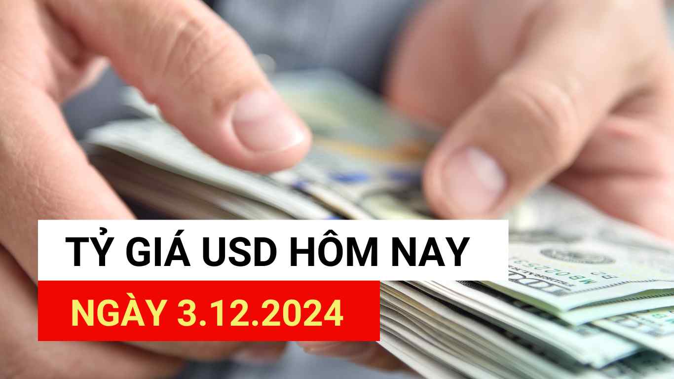 USD exchange rate today 12/3/2024.
