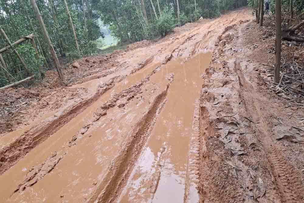 Duong vao vi tri cot dien so 174 va 175 thuoc duong day 500kV mach 3 lay loi do xe tai cho vat lieu len cong truong de thi cong ke mong cot. Anh: Tran Tuan.