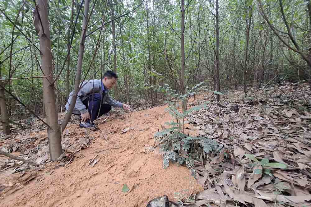 Bun dat tu tren mong cot dien troi xuong theo suon doi. Anh: Tran Tuan.