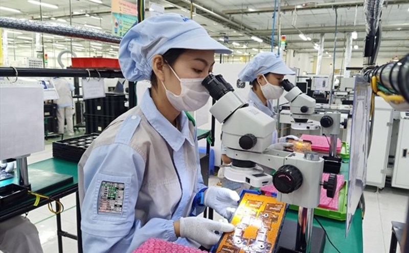 In November 2024, the labor force in the province's industrial sector increased by 3.1% over the same period. Photo: Dieu Thuy