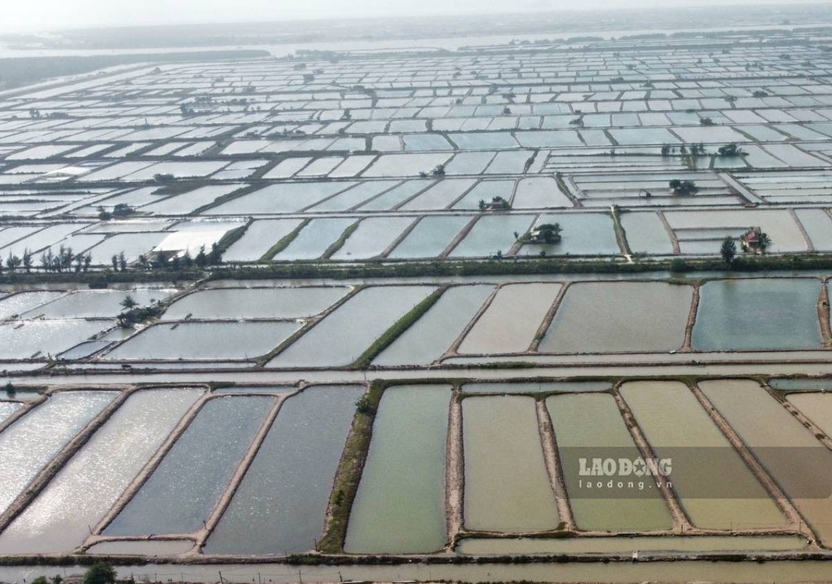 Con Xanh area (Nghia Hung district, Nam Dinh province). Illustration photo: Ha Vi